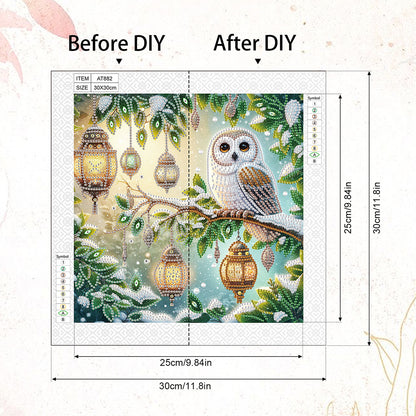 Owl - Special Shaped Drill Diamond Painting 30*30CM