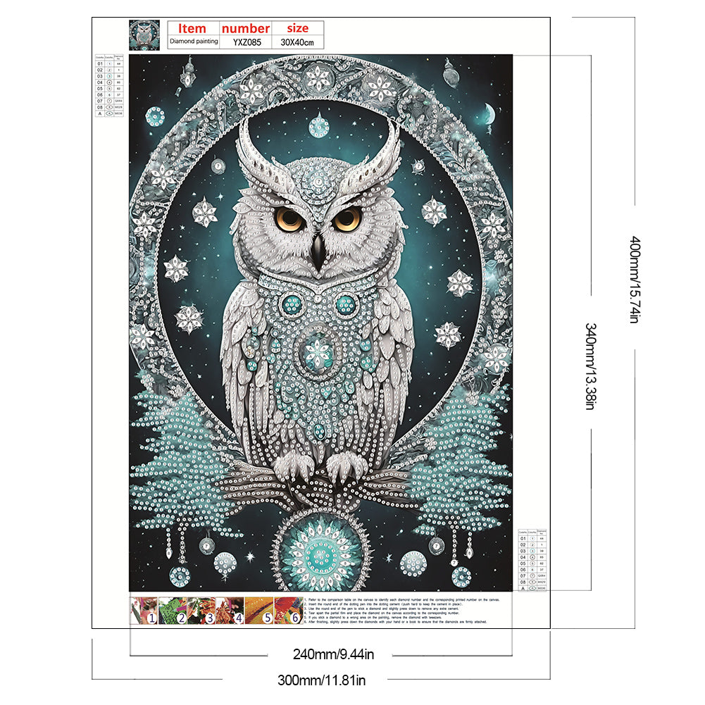 Blue Fantasy Owl - Special Shaped Drill Diamond Painting 30*40CM