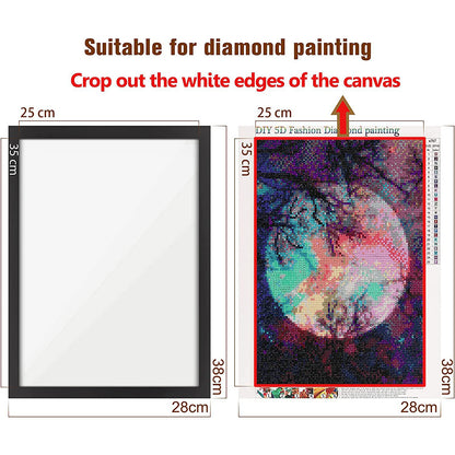 9Pcs Magnetic Picture Frame Magnetic Photo Frame Multifunctional for Party Decor