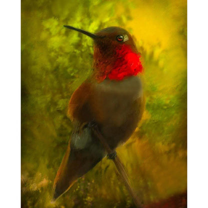Hummingbird - Full Round Drill Diamond Painting 40*50CM