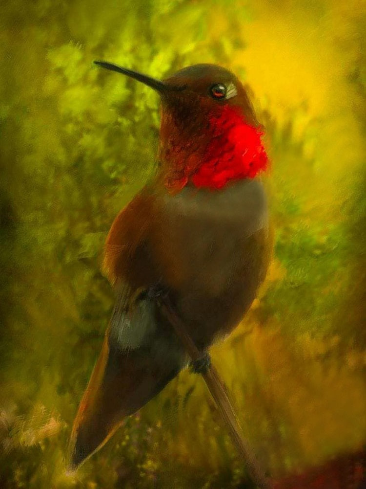 Hummingbird - Full Round Drill Diamond Painting 40*50CM