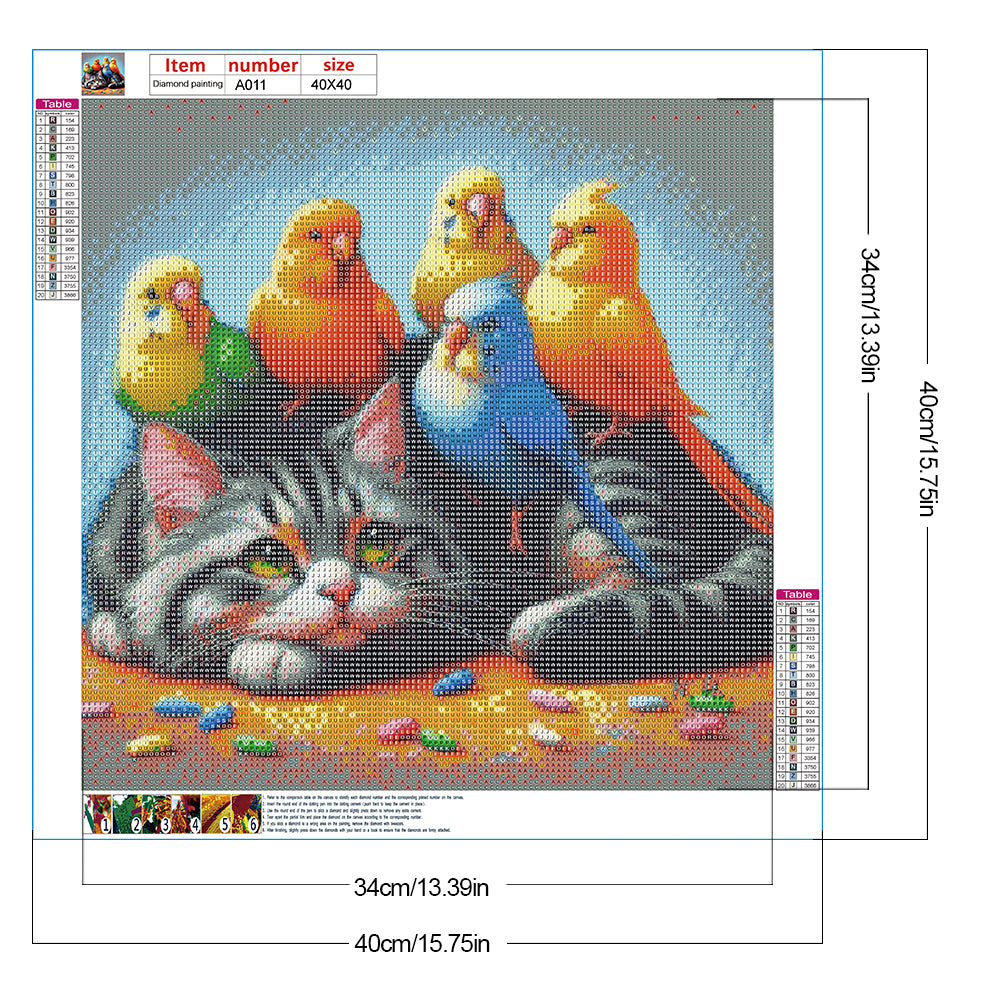 Kitten Parrot - Full Round Drill Diamond Painting 40*40CM