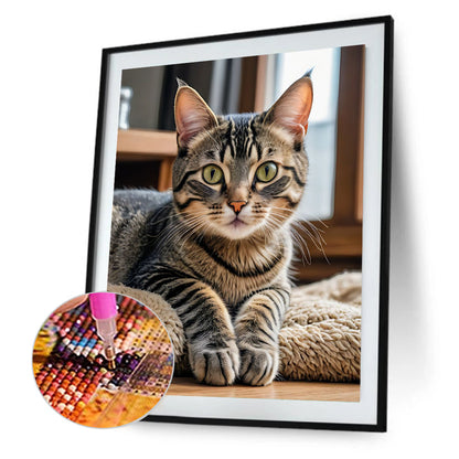 Cat - Full Round Drill Diamond Painting 40*50CM