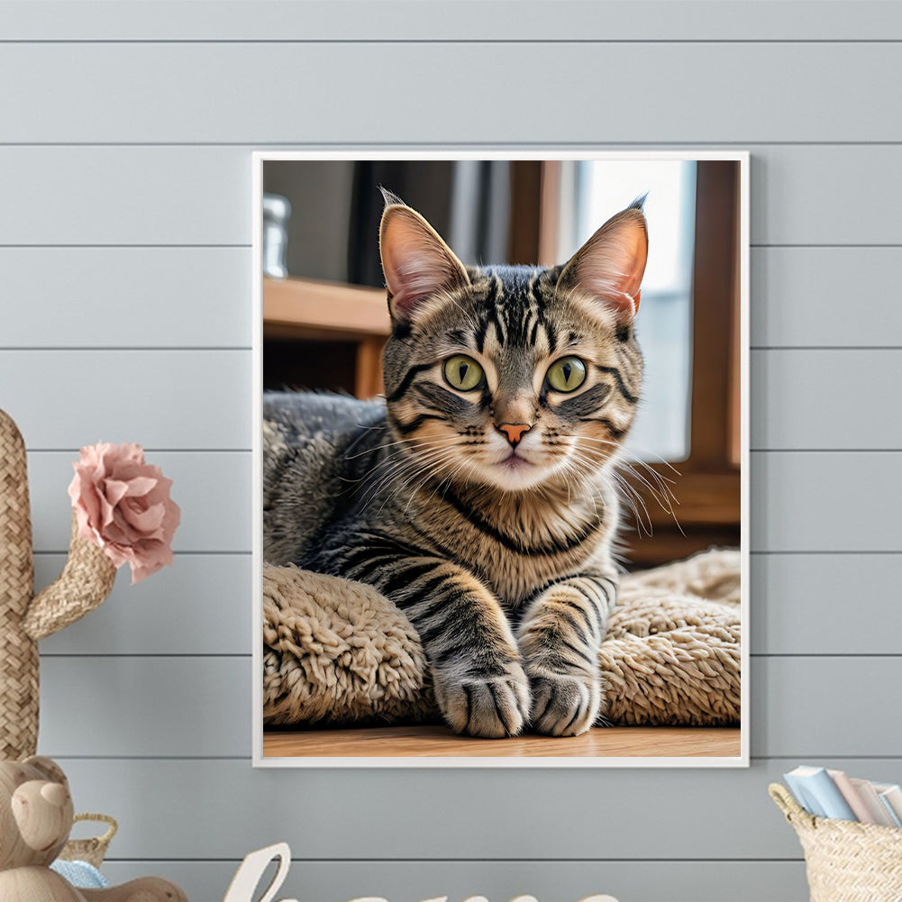 Cat - Full Round Drill Diamond Painting 40*50CM