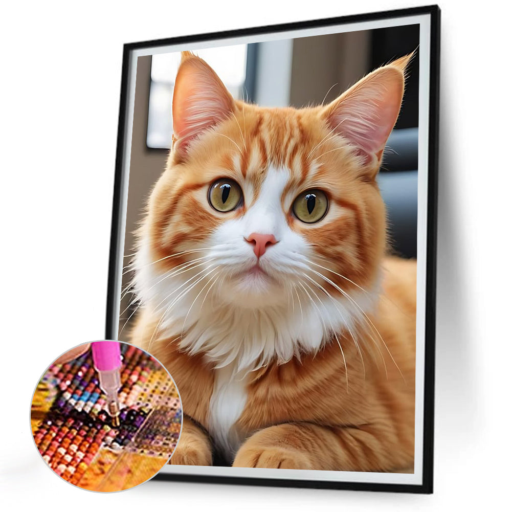Orange Cat - Full Round Drill Diamond Painting 30*40CM