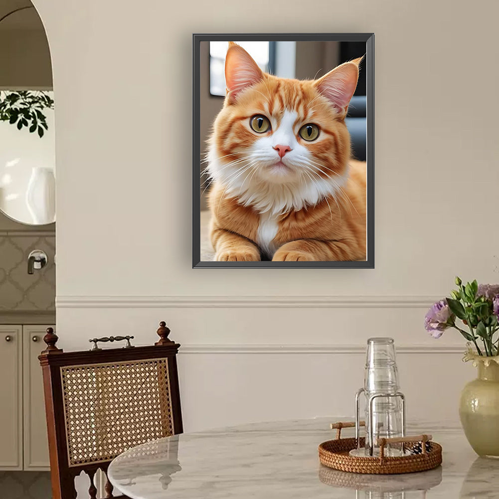 Orange Cat - Full Round Drill Diamond Painting 30*40CM