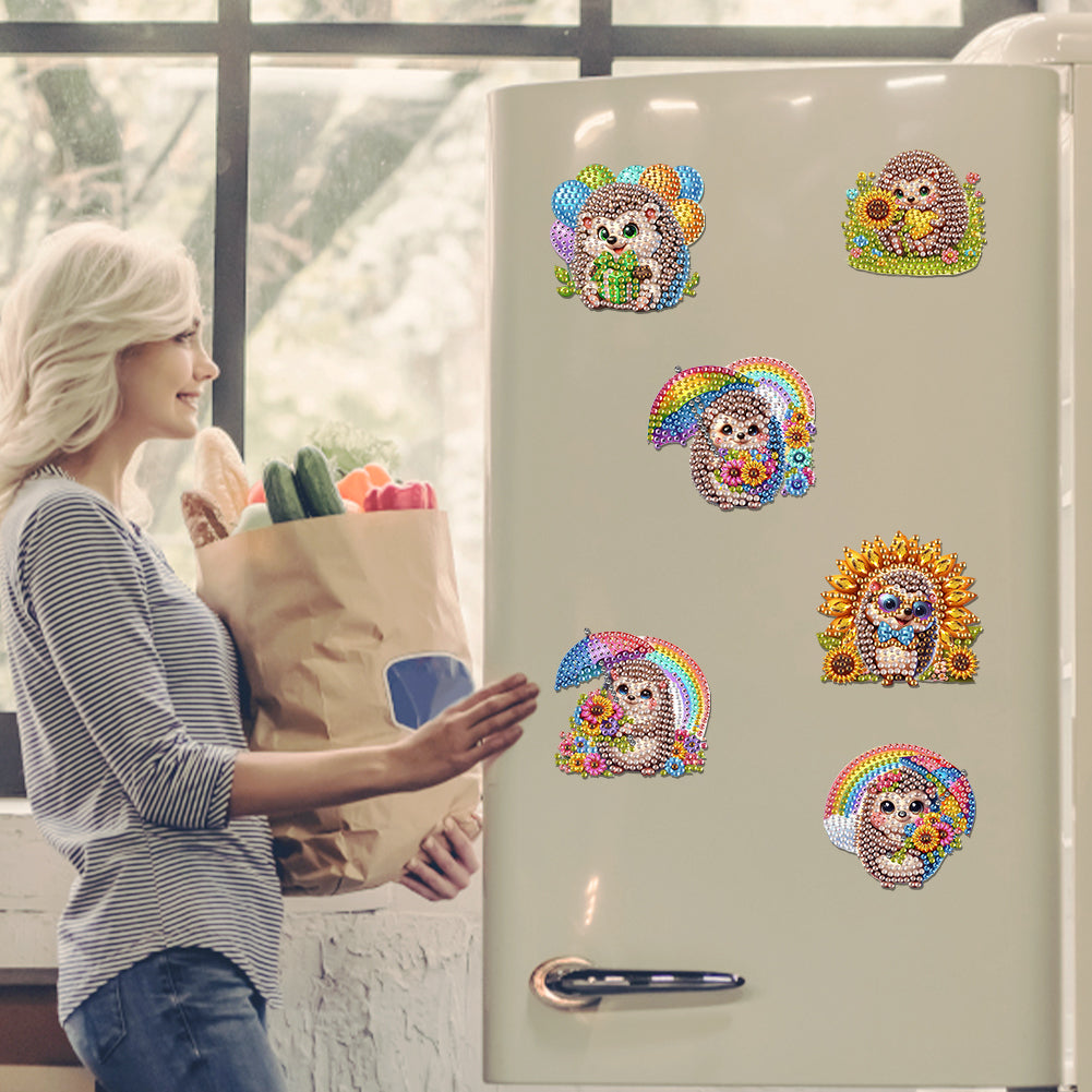 6Pcs Diamond Painting Refrigerator Magnets Diamond Art Kits for Adults Beginners