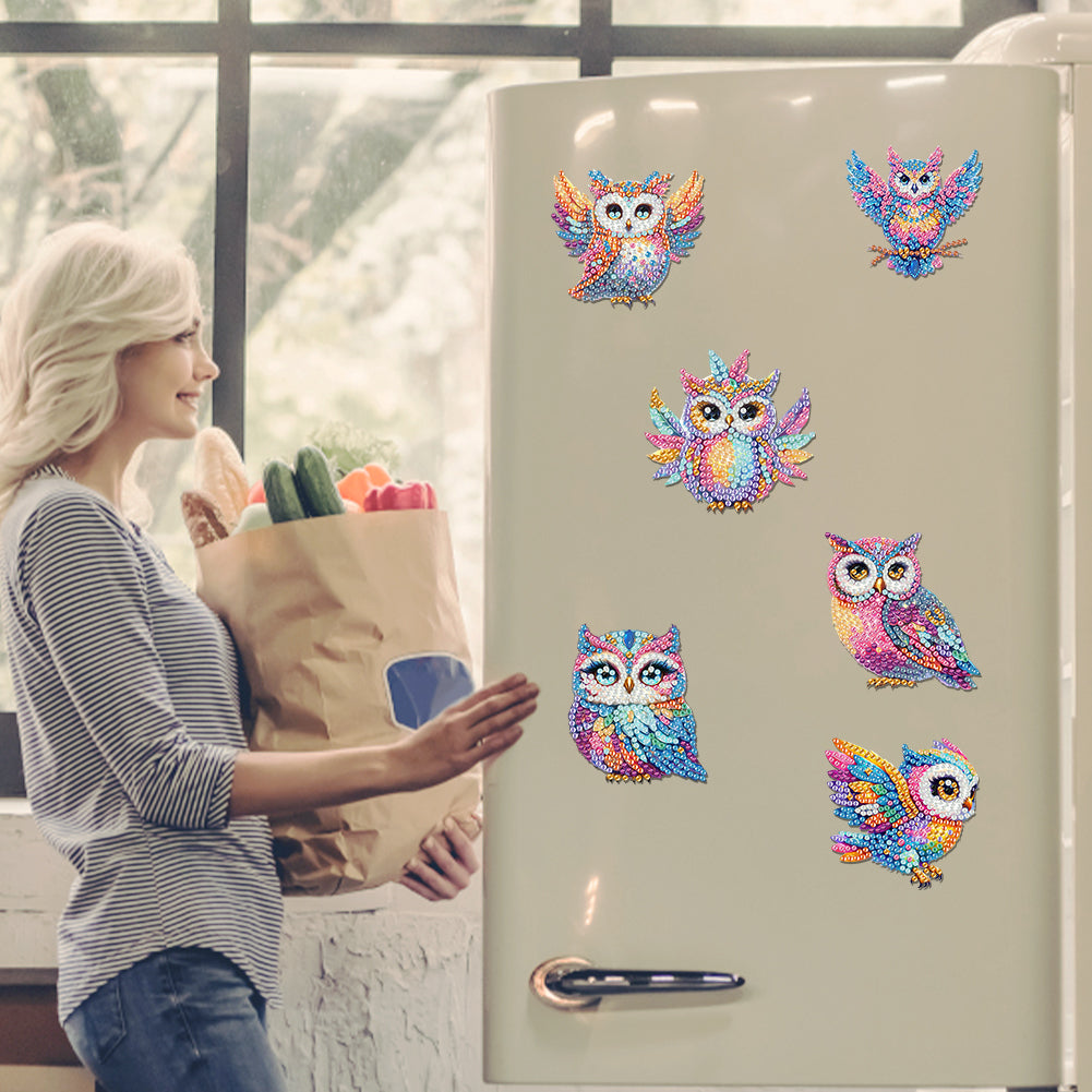 6Pcs Diamond Painting Refrigerator Magnets Diamond Art Kits for Adults Beginners