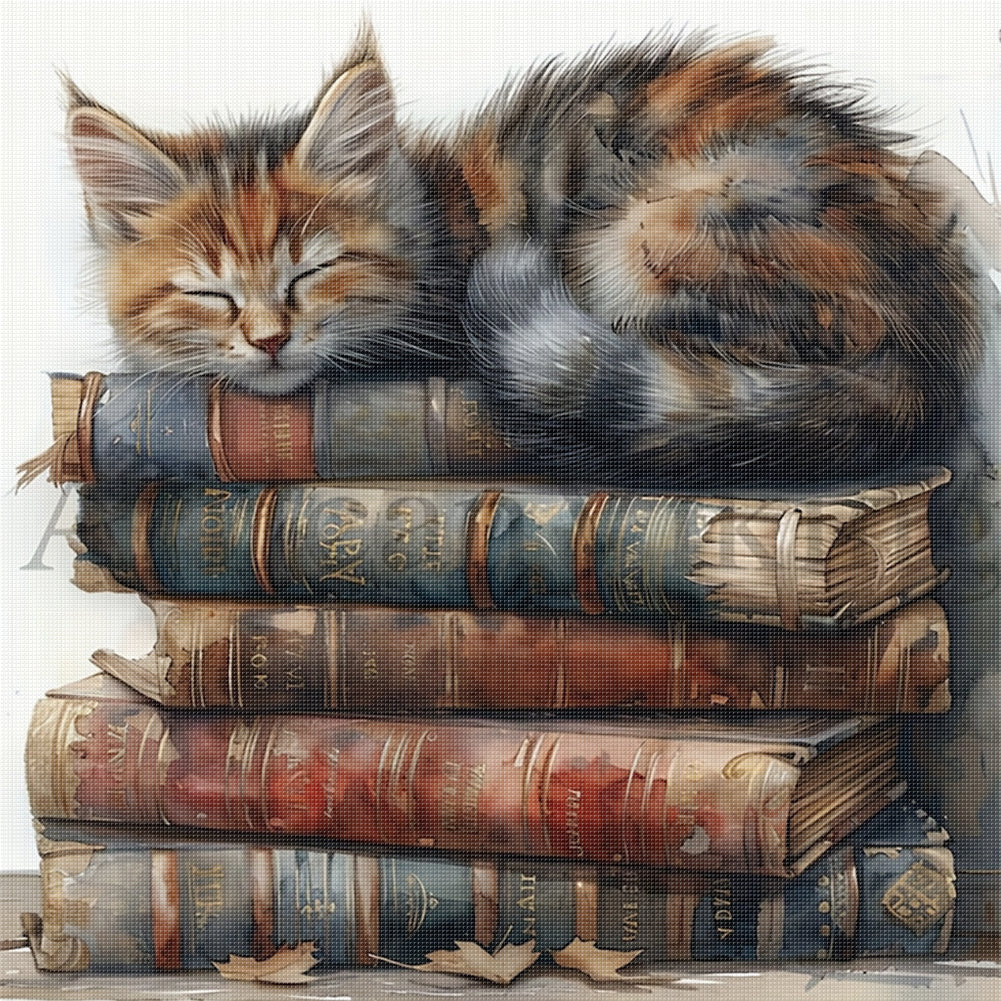 Cat On The Pile Of Books - 11CT Stamped Cross Stitch 40*40CM