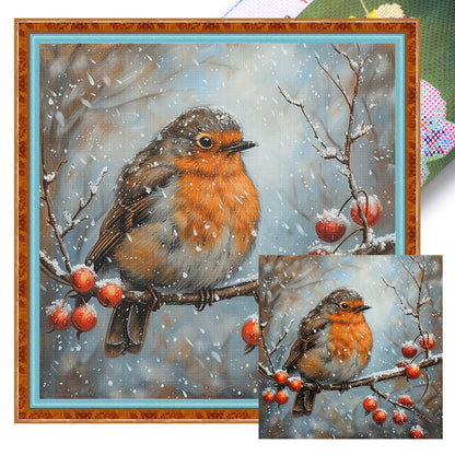 Robin - 11CT Stamped Cross Stitch 40*40CM