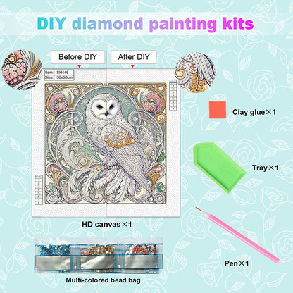 Owl - Special Shaped Drill Diamond Painting 30*30CM
