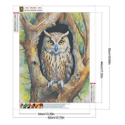 Owl - Full Round Drill Diamond Painting 40*40CM