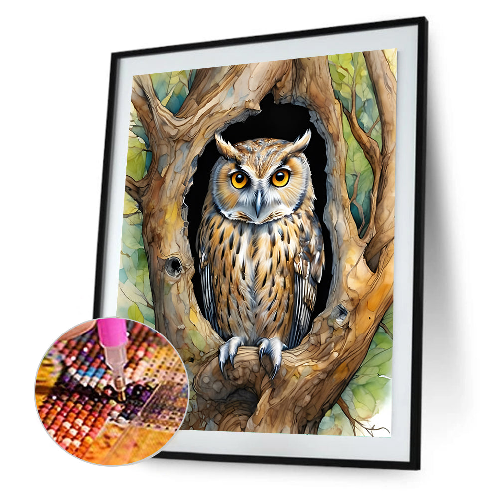 Owl - Full Round Drill Diamond Painting 40*40CM