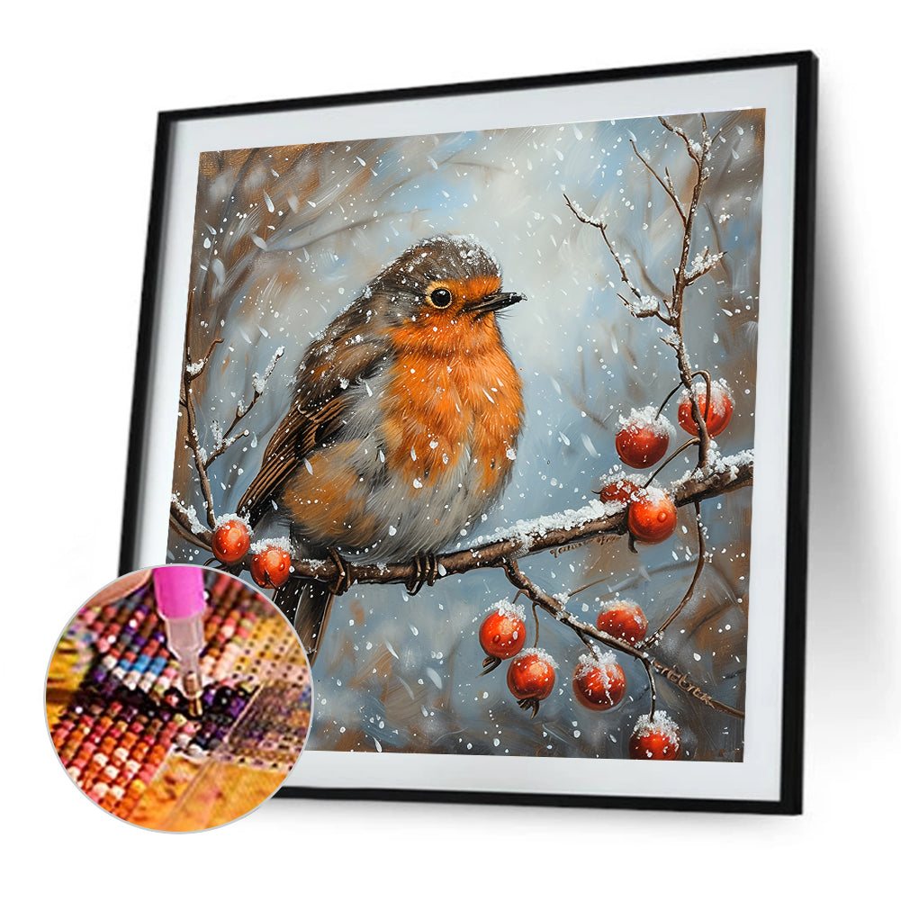 Robin - Full Round Drill Diamond Painting 30*30CM