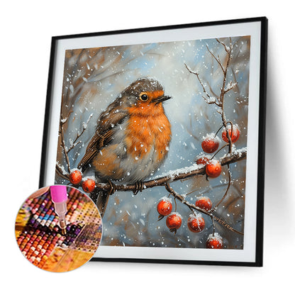 Robin - Full Round Drill Diamond Painting 30*30CM