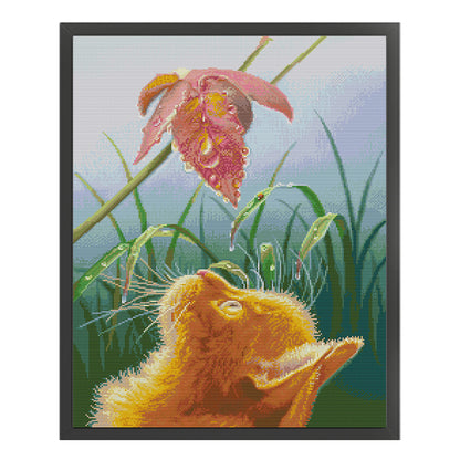 Gazing Cat - 14CT Stamped Cross Stitch 44*56CM(Joy Sunday)