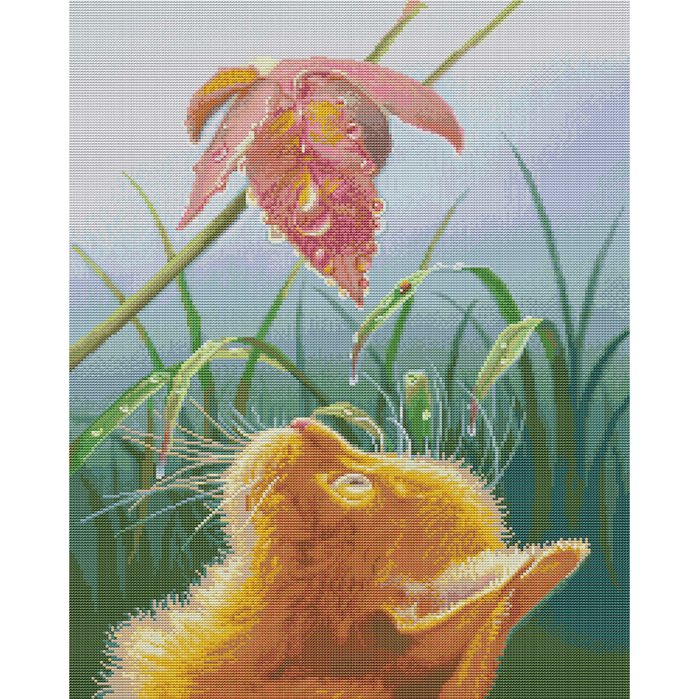 Gazing Cat - 14CT Stamped Cross Stitch 44*56CM(Joy Sunday)