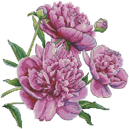 Peony Flower Five - 14CT Stamped Cross Stitch 31*30CM (Joy Sunday)