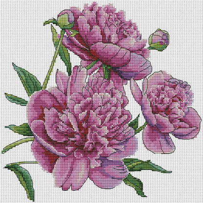 Peony Flower Five - 14CT Stamped Cross Stitch 31*30CM (Joy Sunday)