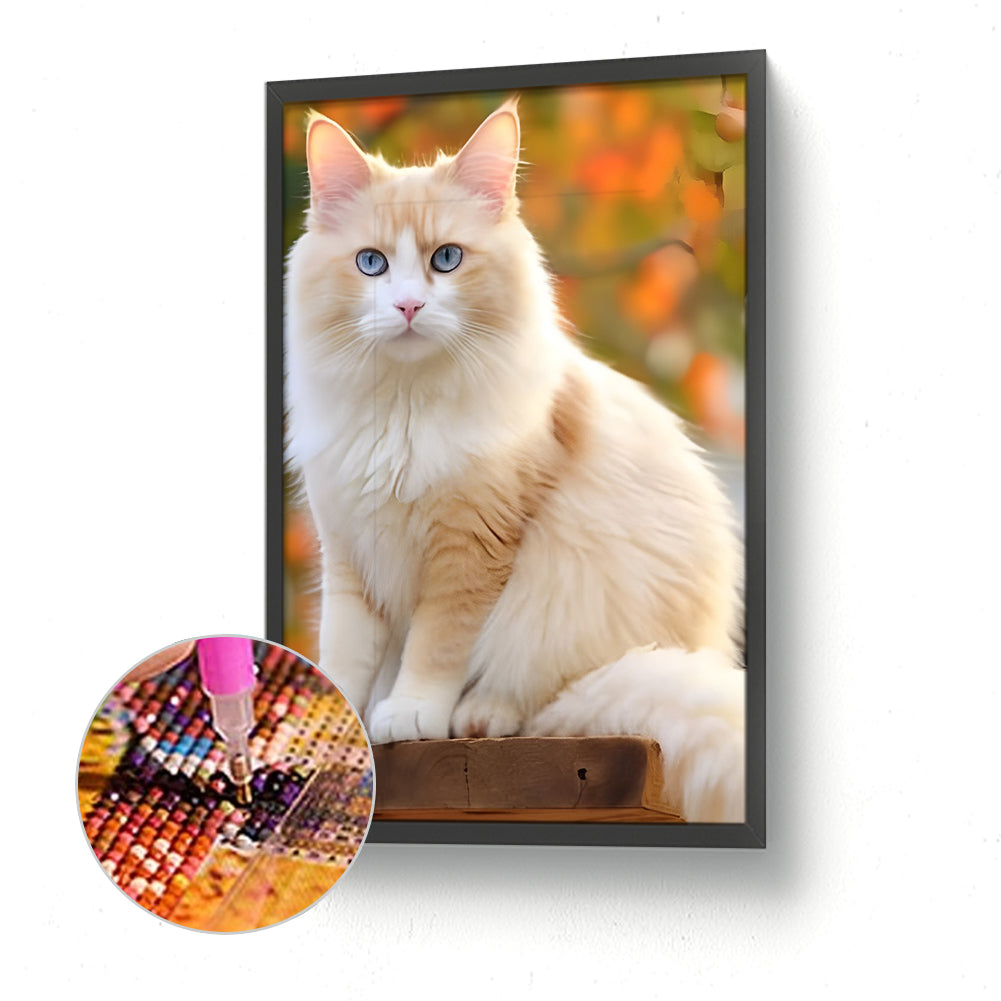 Cat - Full Round Drill Diamond Painting 30*45CM