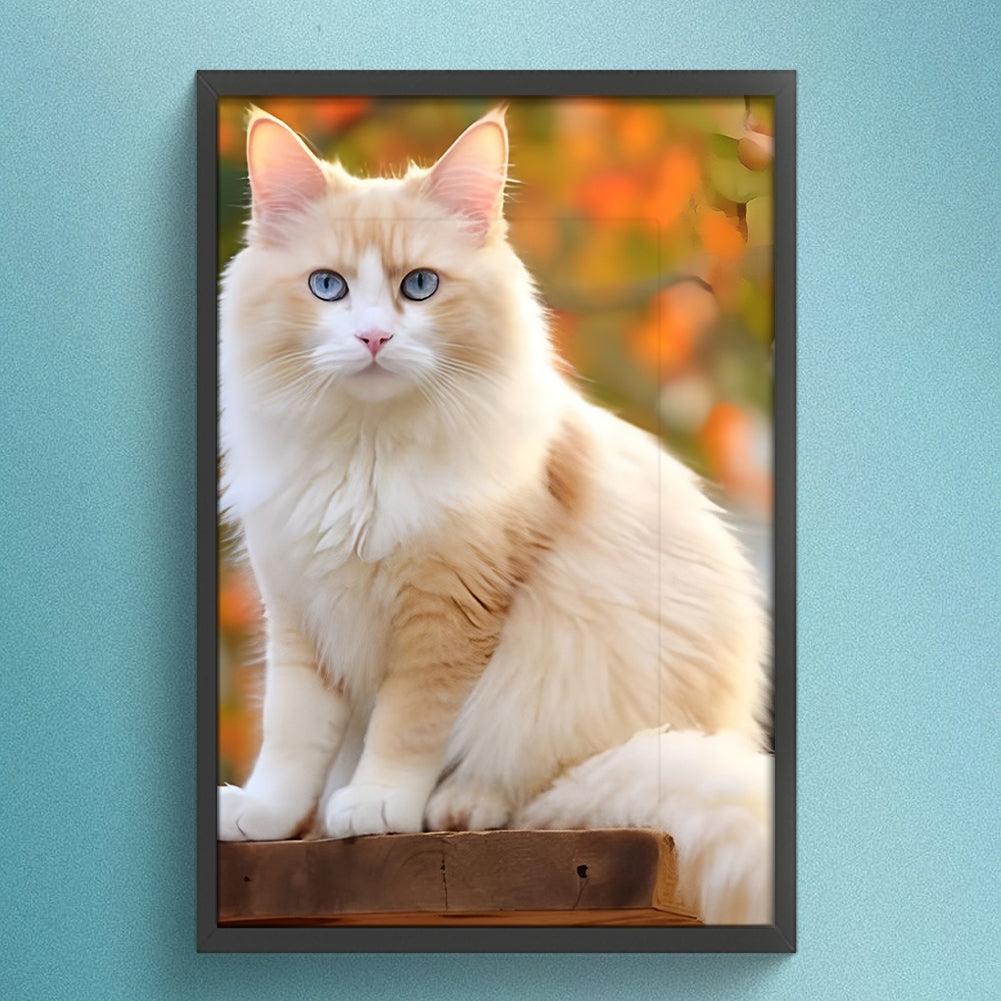 Cat - Full Round Drill Diamond Painting 30*45CM