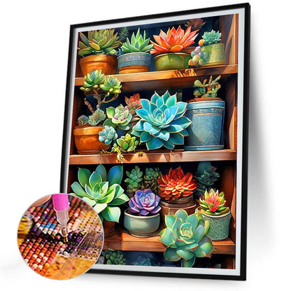 Succulents - Full Round Drill Diamond Painting 30*40CM