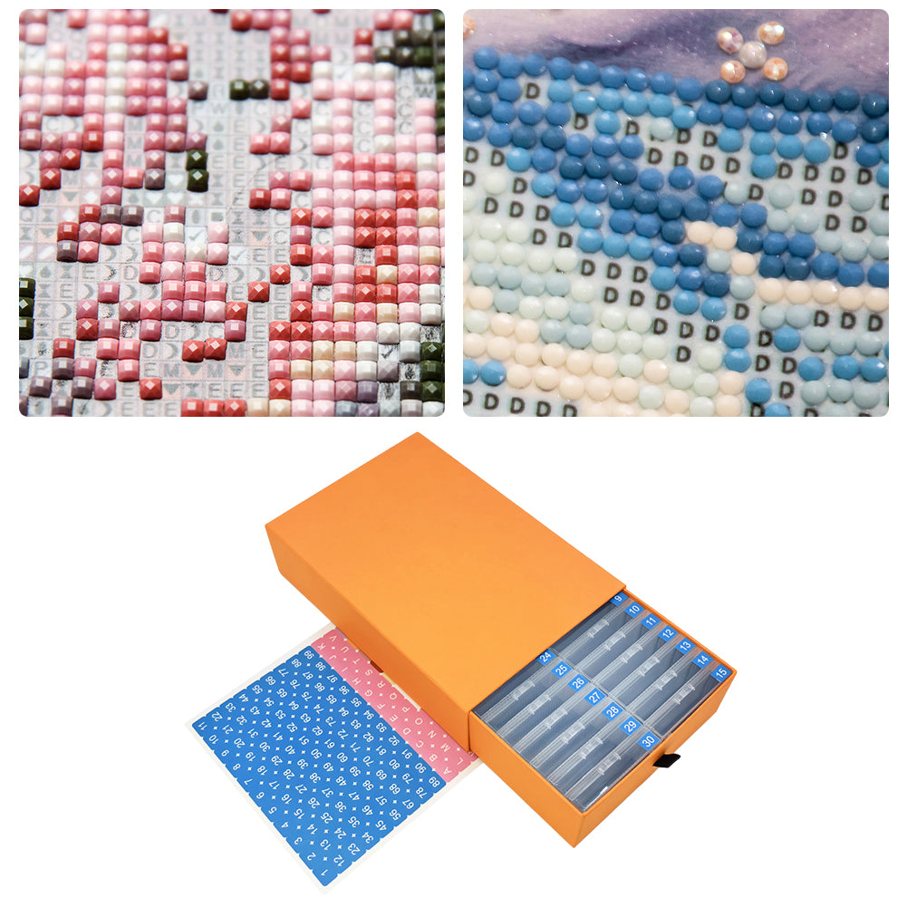 30Pcs/Set Diamond Painting Trays with Lids for Diamond Art (2)