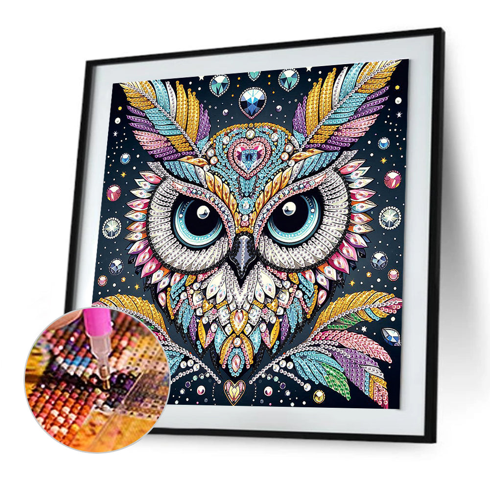 Owl - Special Shaped Drill Diamond Painting 30*30CM
