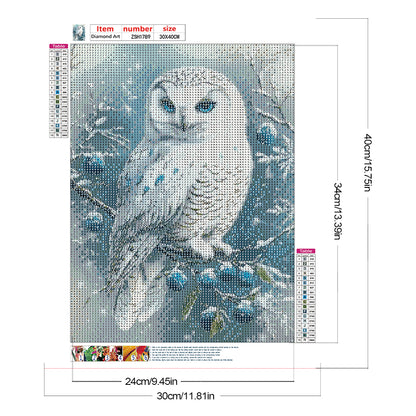 Owl - Full Round Drill Diamond Painting 30*40CM
