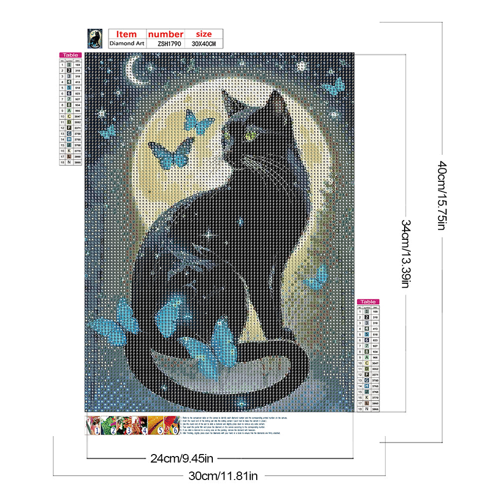 Black Cat - Full Round Drill Diamond Painting 30*40CM