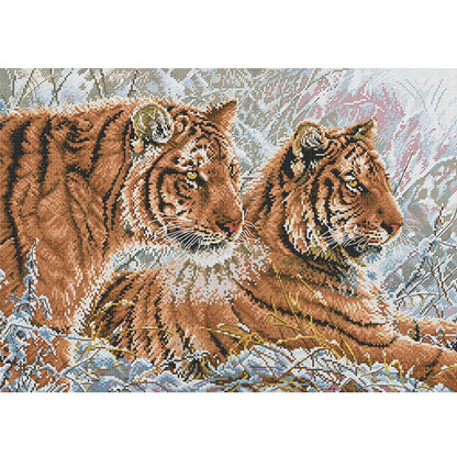 Two Tigers - 14CT Stamped Cross Stitch 55*40CM (Joy Sunday)