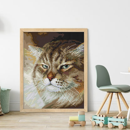 Angry Cat - 14CT Stamped Cross Stitch 25*30CM (Joy Sunday)