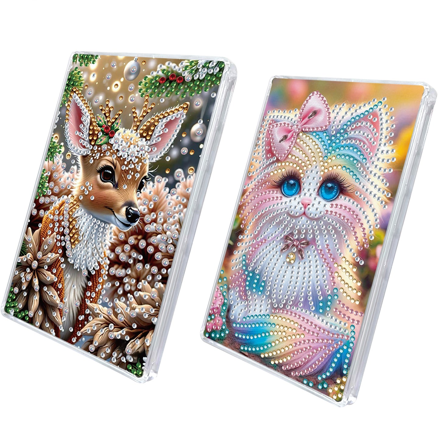 2pcs DIY 5D Diamond Painting Acrylic Jewelry Box Kit Gift for Adults (Animal B)
