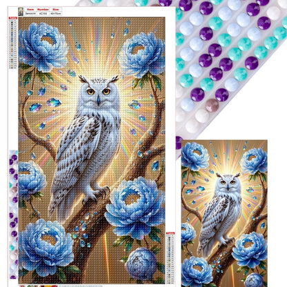Owl - Full Round Drill Diamond Painting 40*70CM