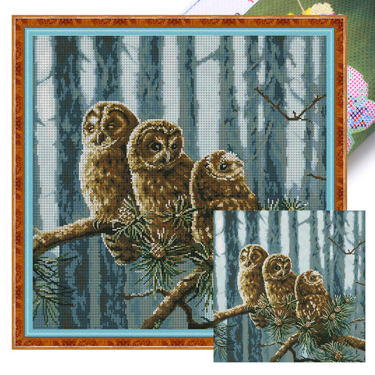A Family Of Owls - 14CT Stamped Cross Stitch 46*46CM (Joy Sunday)