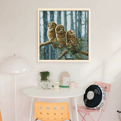 A Family Of Owls - 14CT Stamped Cross Stitch 46*46CM (Joy Sunday)
