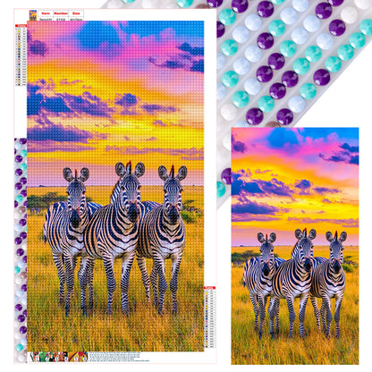 Zebra - Full Round Drill Diamond Painting 40*70CM