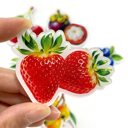 Fruit Magnetic Acrylic Needle Minder for Cross Stitch Embroidery Sewing Needle