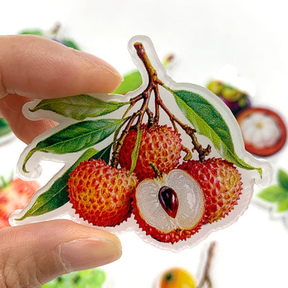 Fruit Magnetic Acrylic Needle Minder for Cross Stitch Embroidery Sewing Needle