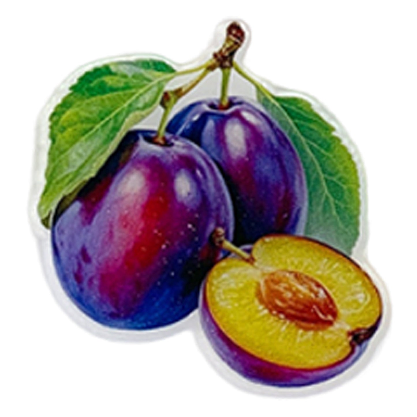 Fruit Magnetic Acrylic Needle Minder for Cross Stitch Embroidery Sewing Needle