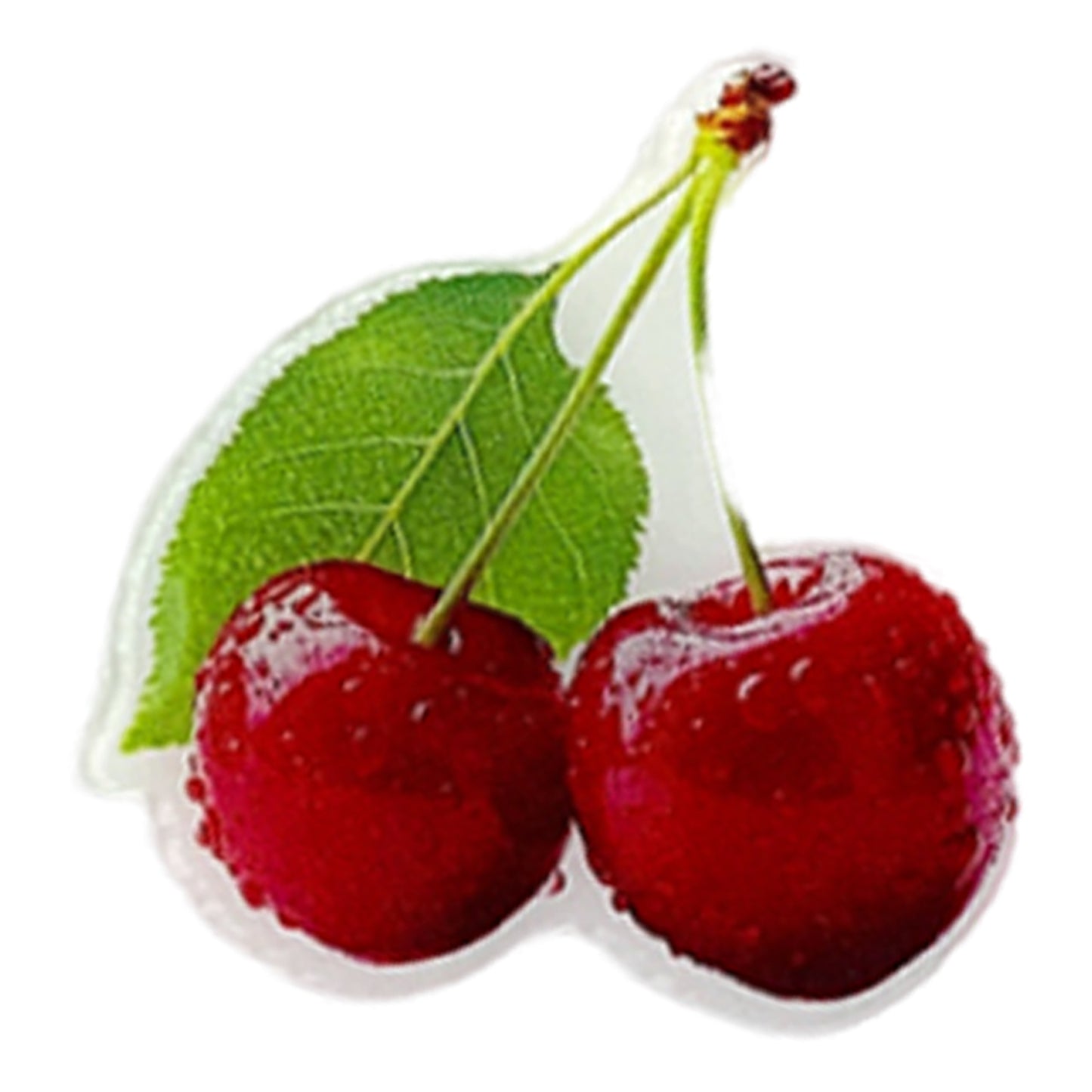 Fruit Magnetic Acrylic Needle Minder for Cross Stitch Embroidery Sewing Needle