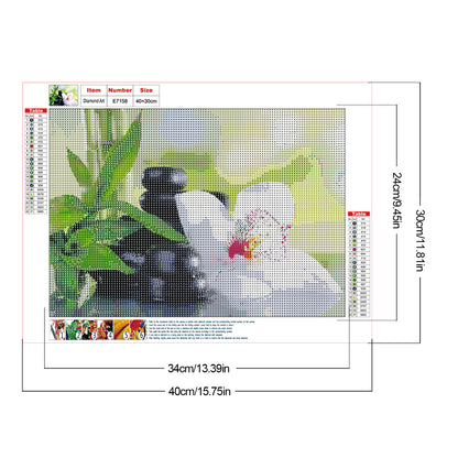 Flower - Full Round Drill Diamond Painting 40*30CM