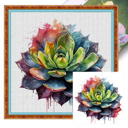 Colorful Succulents - 11CT Stamped Cross Stitch 50*50CM