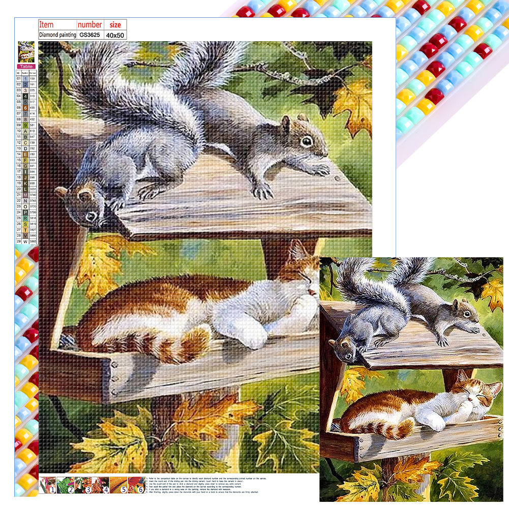 Squirrel Cat - Full Square Drill Diamond Painting 40*50CM