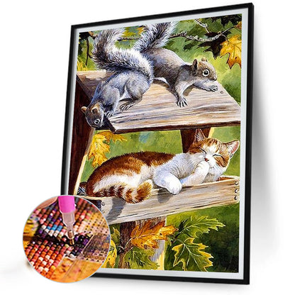 Squirrel Cat - Full Square Drill Diamond Painting 40*50CM