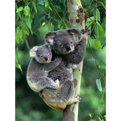 Koala - Full Round Drill Diamond Painting 30*40CM