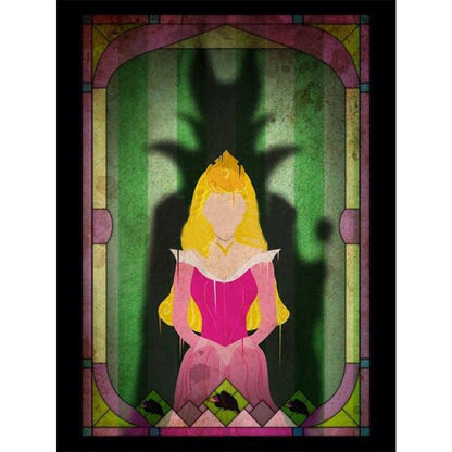 Silhouette-Disney Villains And Princesses - 11CT Stamped Cross Stitch 40*56CM