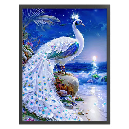 Peacock - 16CT Stamped Cross Stitch 50*65CM