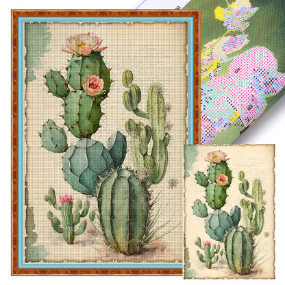 Vintage Poster - Cactus Flower - 11CT Stamped Cross Stitch 40*60CM