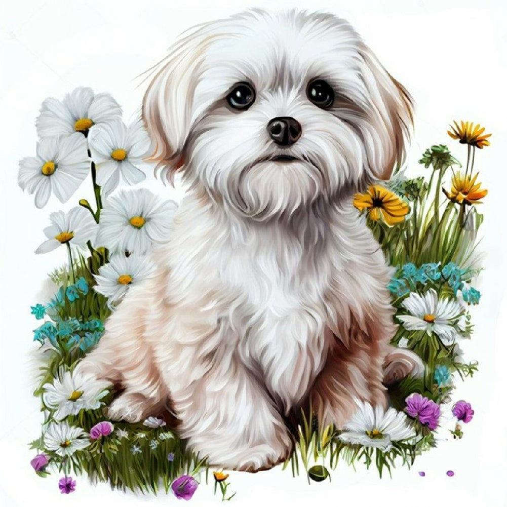 Bichon Frise - Full Round Drill Diamond Painting 40*40CM